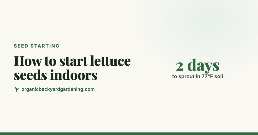 How to Start Lettuce Seeds Indoors