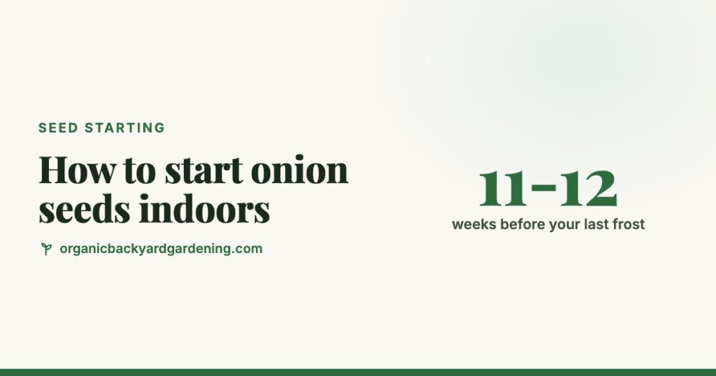 How to Start Onion Seeds Indoors (and Trim the Seedlings)