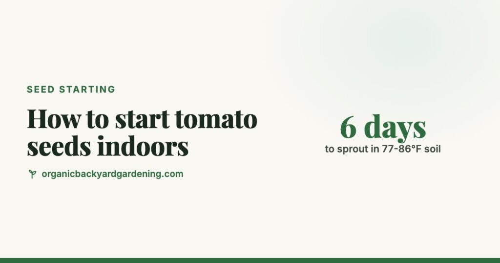 How to Start Tomato Seeds Indoors