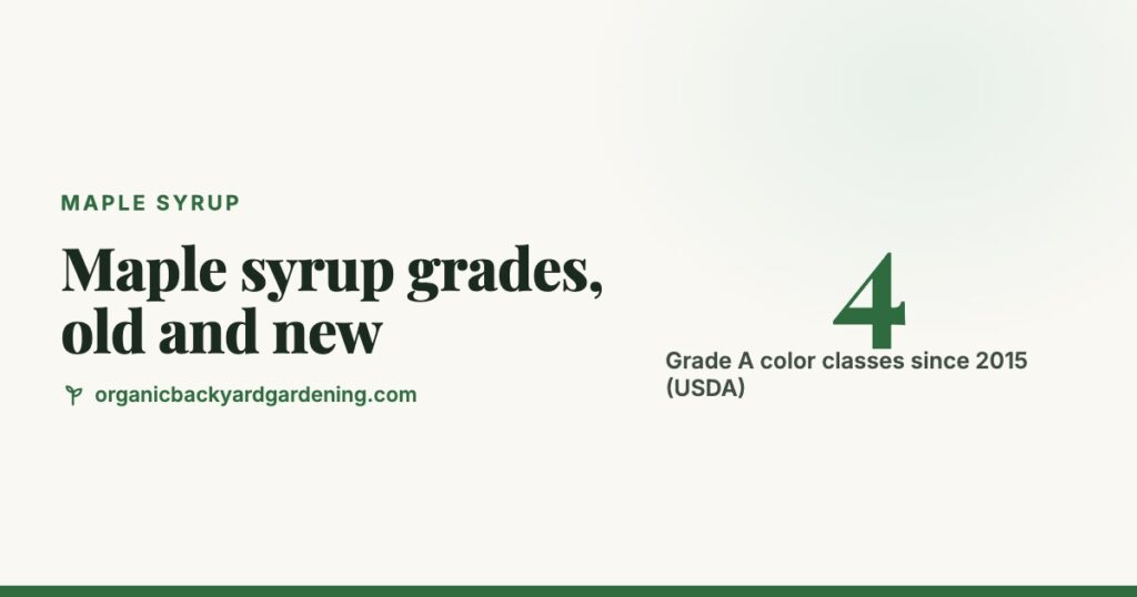 Maple Syrup Grades Chart: Color Classes and Taste