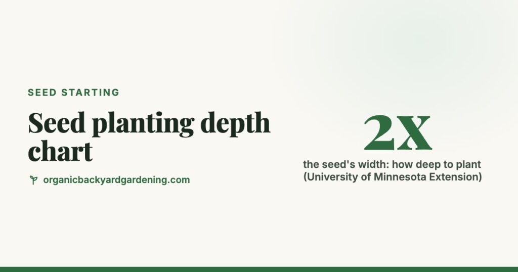 Seed Planting Depth Chart for Vegetables