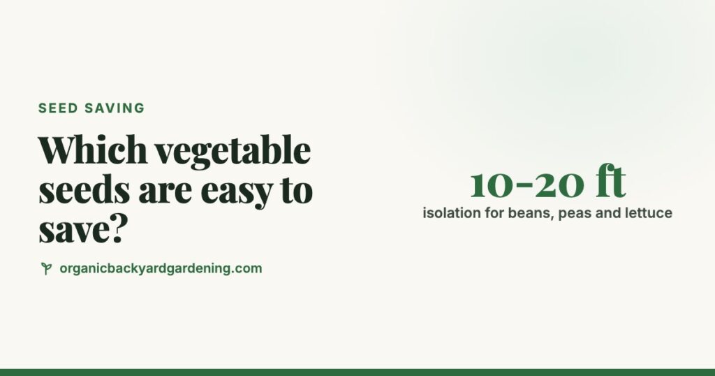Seed Saving Chart: Which Vegetables Are Easy to Save