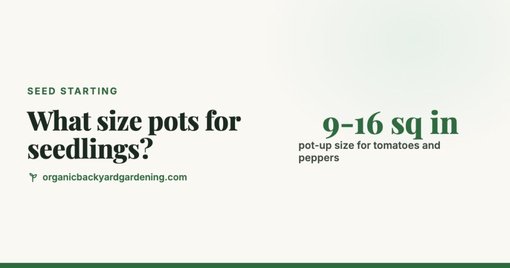When to Pot Up Seedlings: Pot Size Chart by Crop