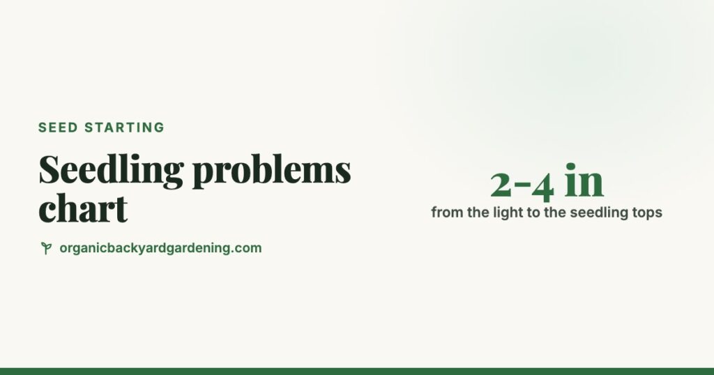 Seedling Problems Chart: Leggy, Yellow, Purple, Falling Over