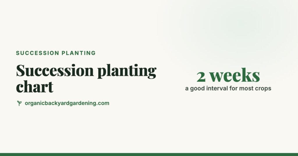 Succession Planting Chart: How Often to Sow Each Crop