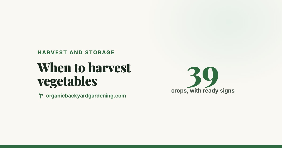 vegetable-harvest-chart-v2 When to Harvest Vegetables: Ready Signs for 39 Crops