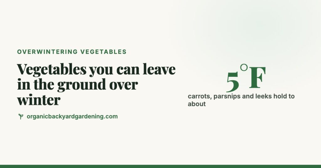 Vegetables You Can Leave in the Ground Over Winter